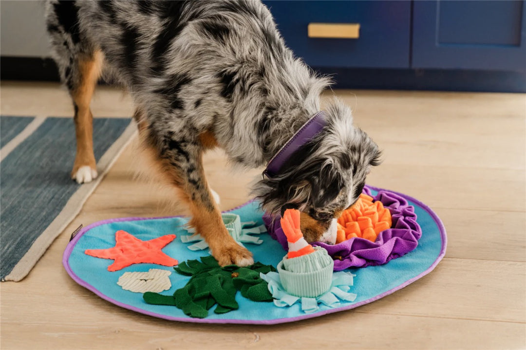 Coral Cove Snusematte