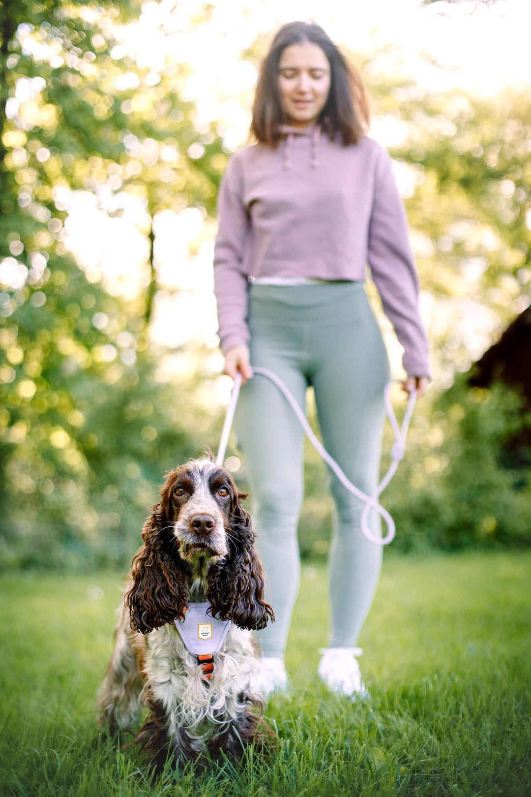 Hundesele - Color Block Salmon Pink Mix