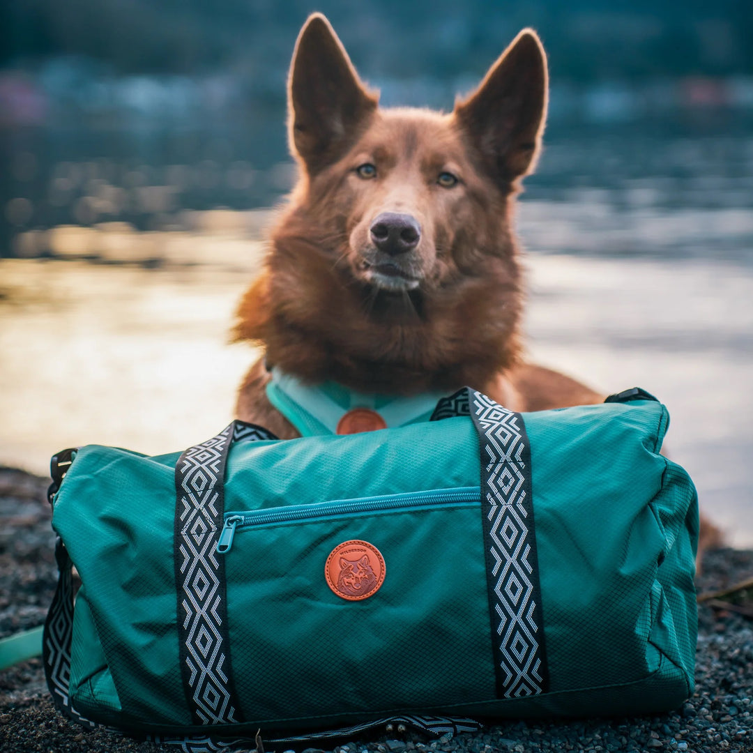 Dog Duffel - Bag til hundeutstyr