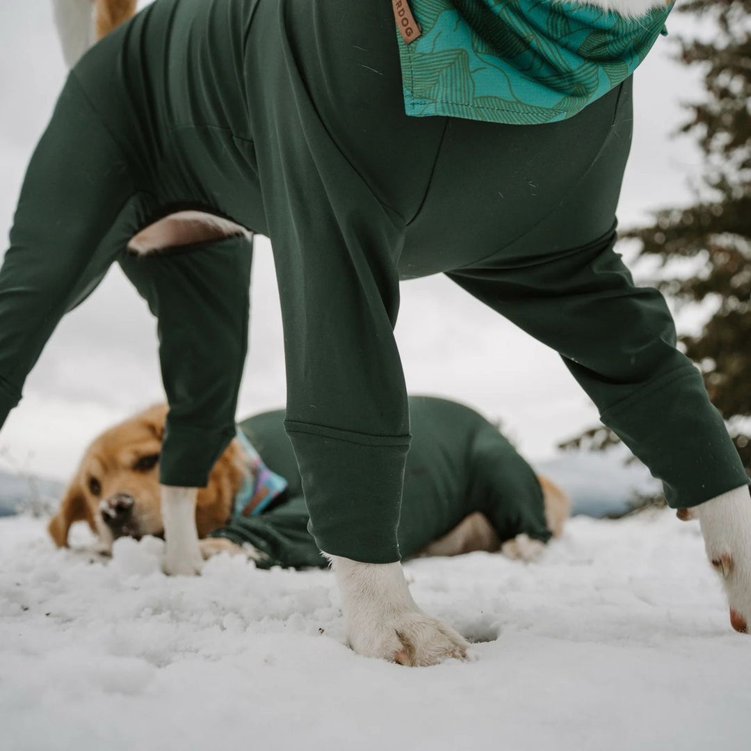 Snødress til hund