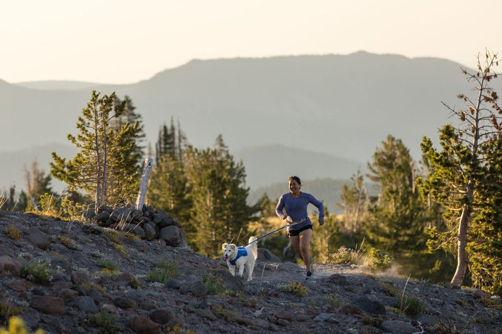 Trail Runner Vest, Blå