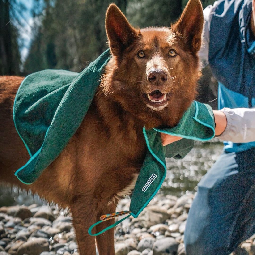 Quick Dry Towel - Hurtigtørkende håndkle for hund