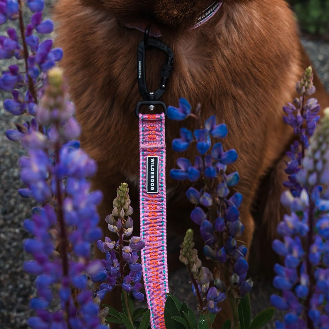 Ultralight Hundebånd - Lilac