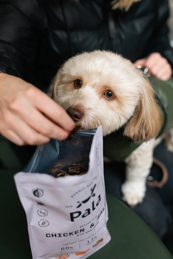 Lufttørket råfôr til hund - Kylling & laks