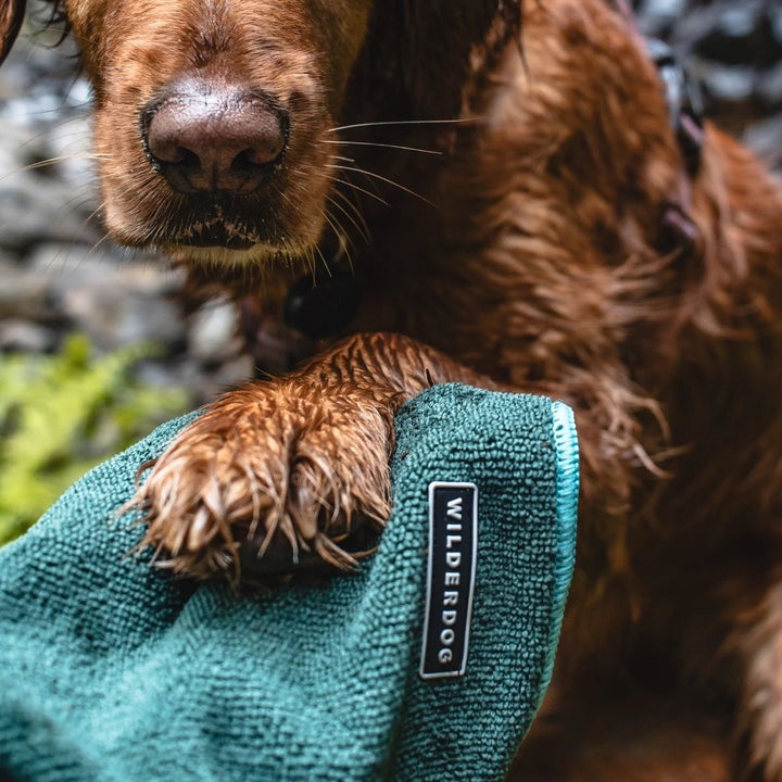Quick Dry Towel - Hurtigtørkende håndkle for hund