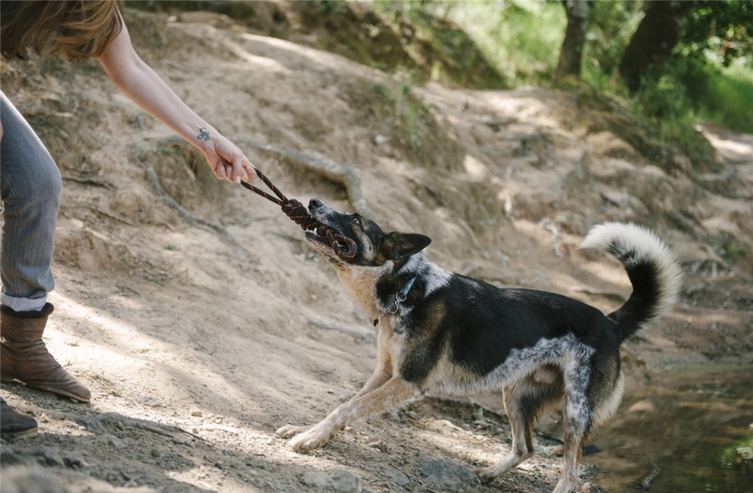 Rope Toy - Tauleke Large