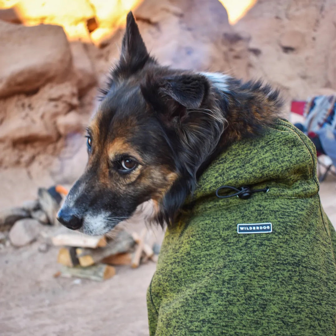 Fleece Jacket - Olive