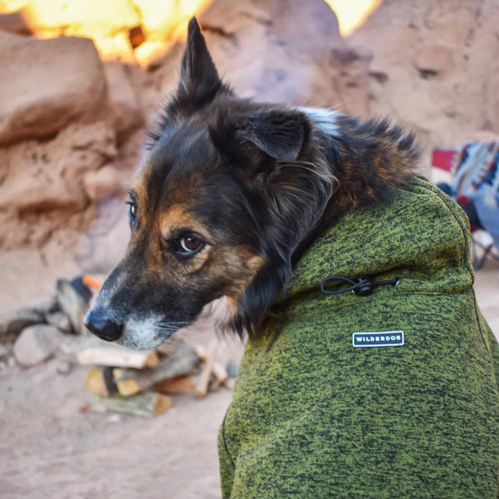 Fleece Jacket - Olive