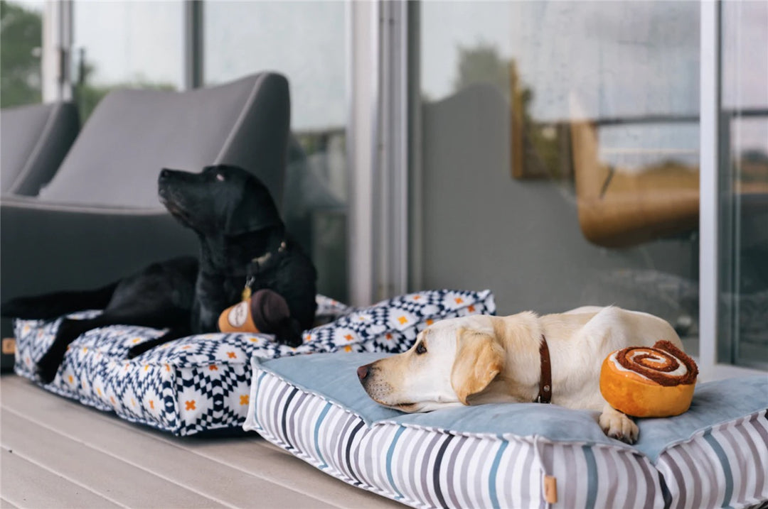 Pup Cup Café Cinna-bone Hundeleke