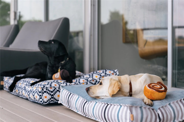 Pup Cup Café Cinna-bone Hundeleke