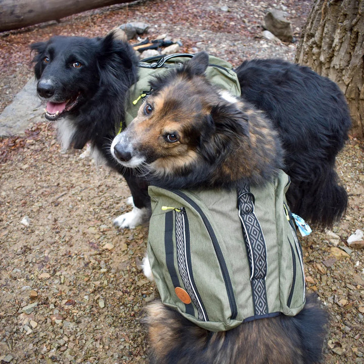 Kløv til Hund - Olive