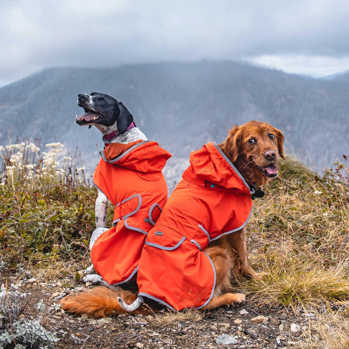 Regndekken til Hund - Tangelo