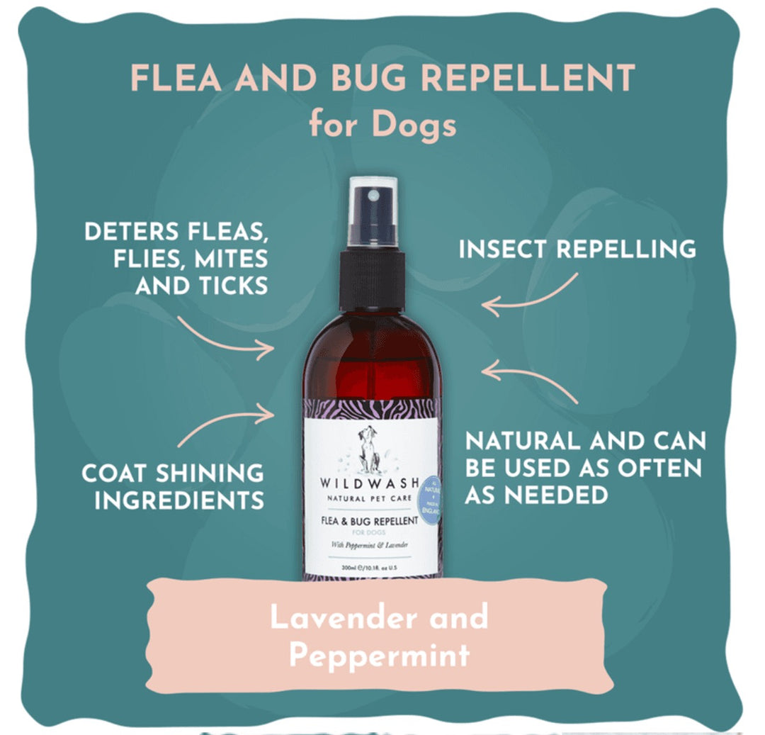 PRO Flea & Bug Repellent Hund - 300ml