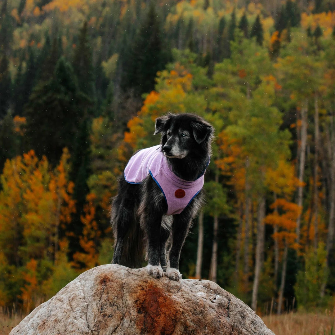 Pro Fleecejakke til hund