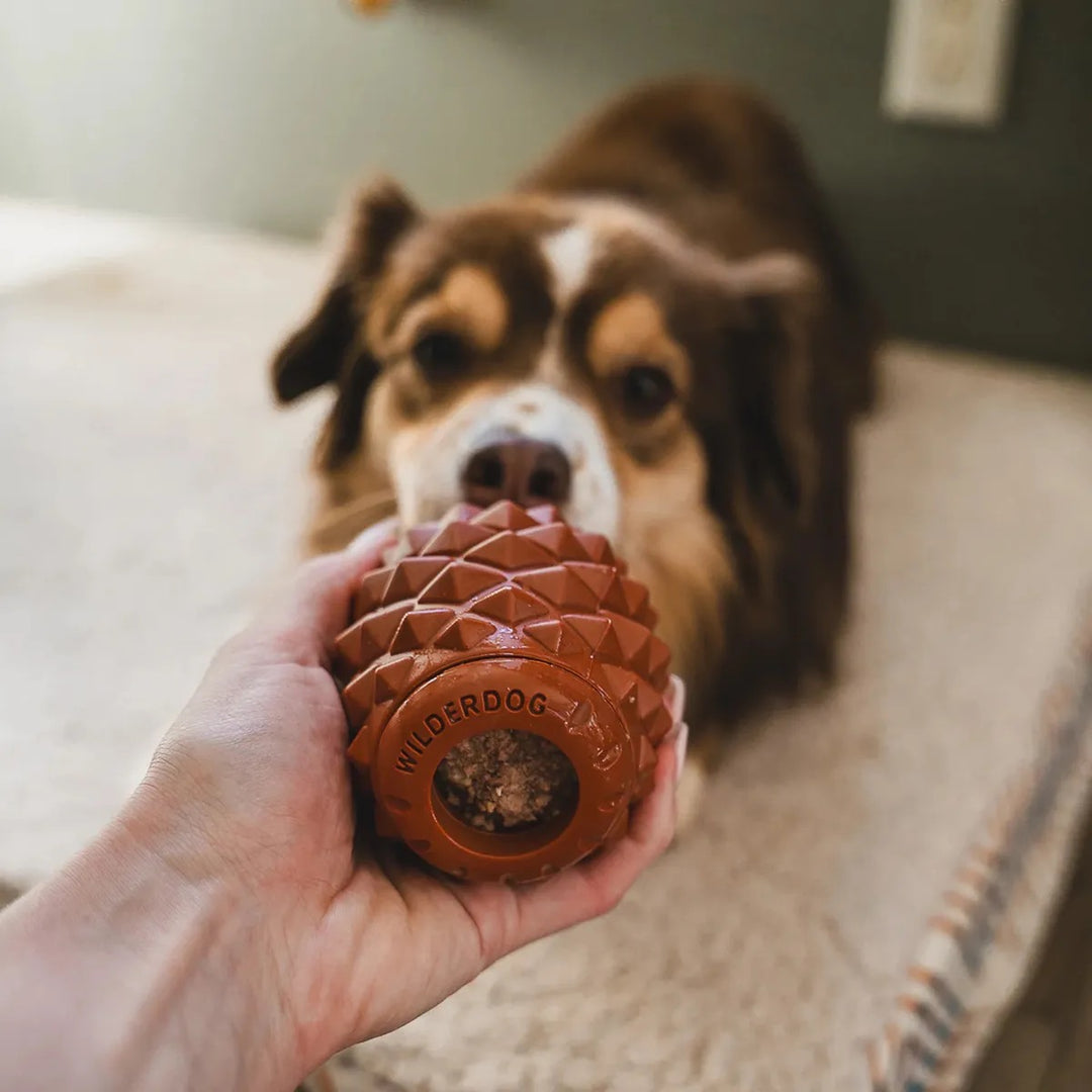 The Conifur - Interaktivt Hundeleketøy med Fryseform