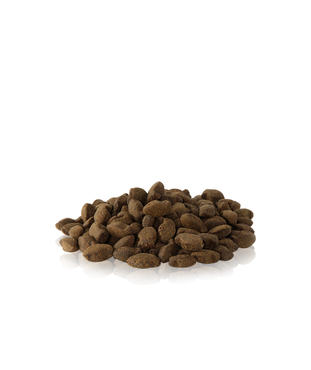 Tiny Crackers - Lake & Sea 100g