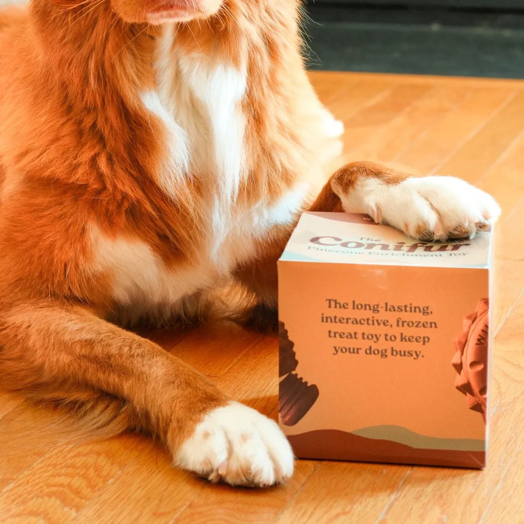 The Conifur - Interaktivt Hundeleketøy med Fryseform