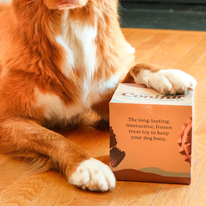 The Conifur - Interaktivt Hundeleketøy med Fryseform