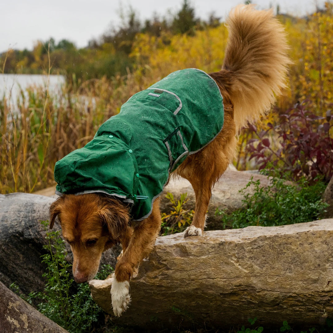 Regndekken til Hund - Wilderdog - Grønn