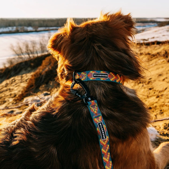 Ultralight Hundehalsbånd - Havasu