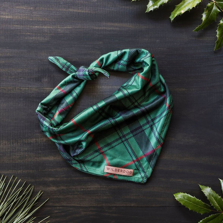 Hundebandana - Tartan Plaid