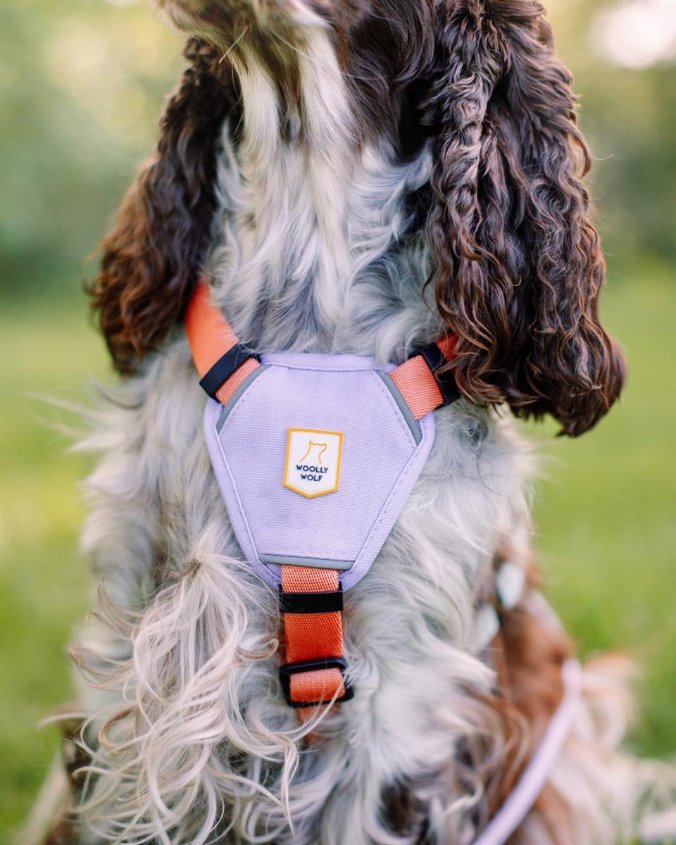 Hundesele - Color Block Salmon Pink Mix