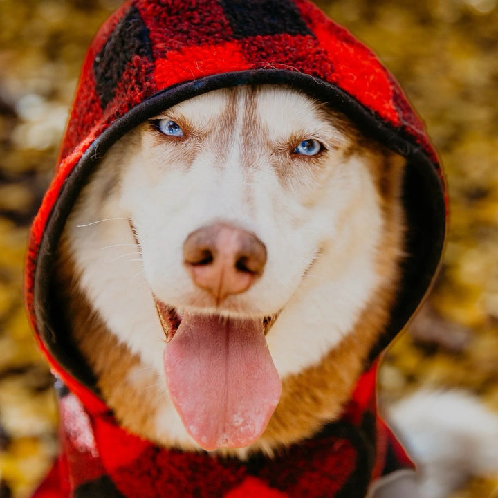 Sherpa Jacket - Red Plaid