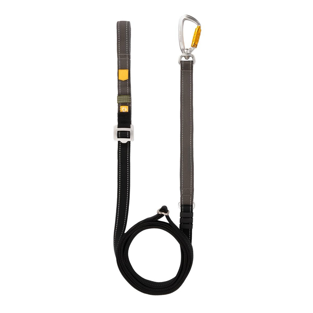 Handsfree/Justerbart Hundebånd - Color Block