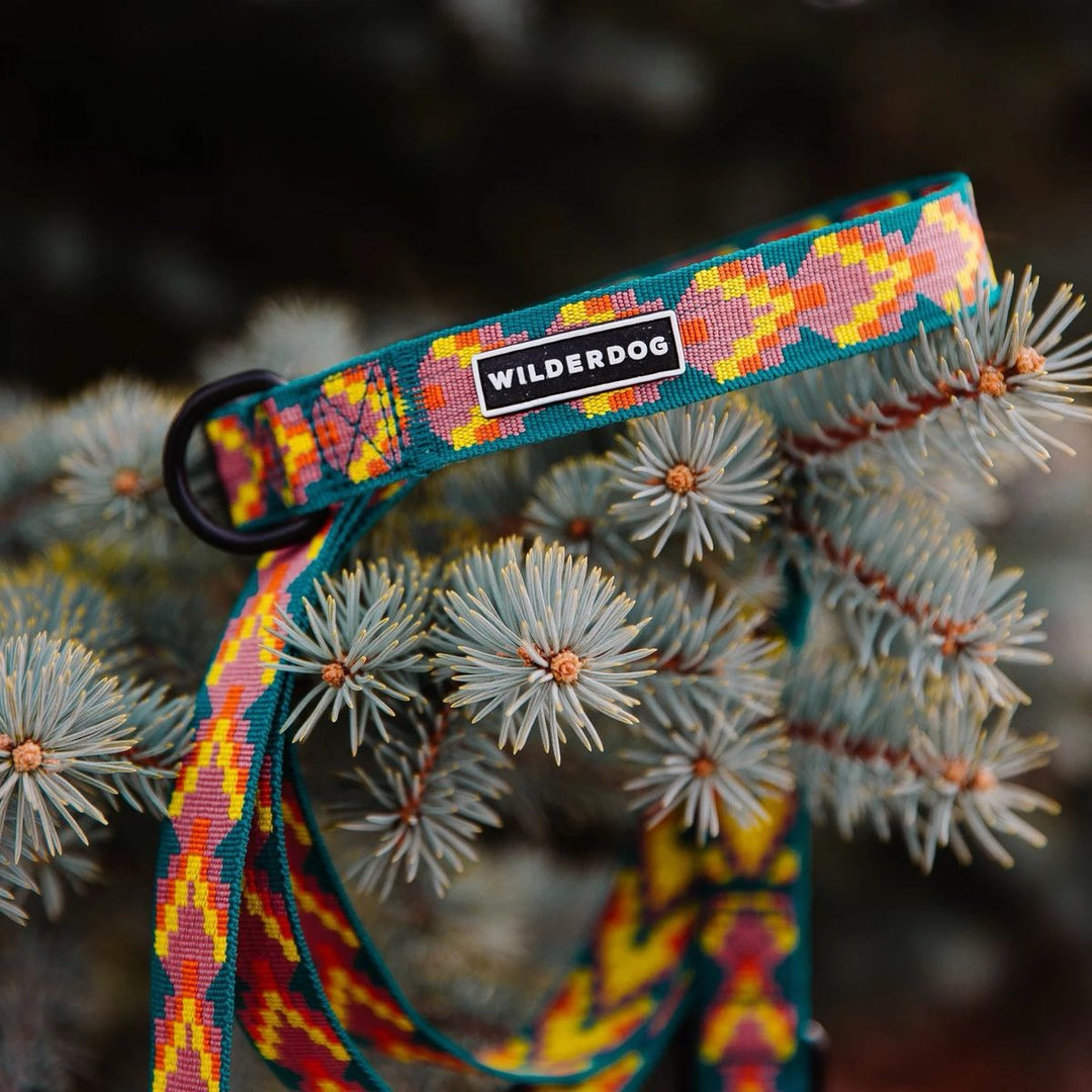 Ultralight Hundehalsbånd - Havasu