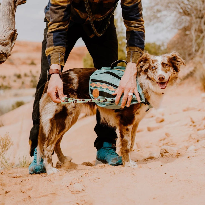 Kløv til Hund - Seafoam