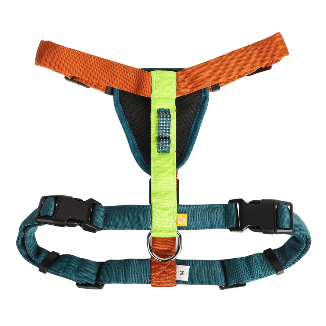 Hundesele - Color Block Lime Mix