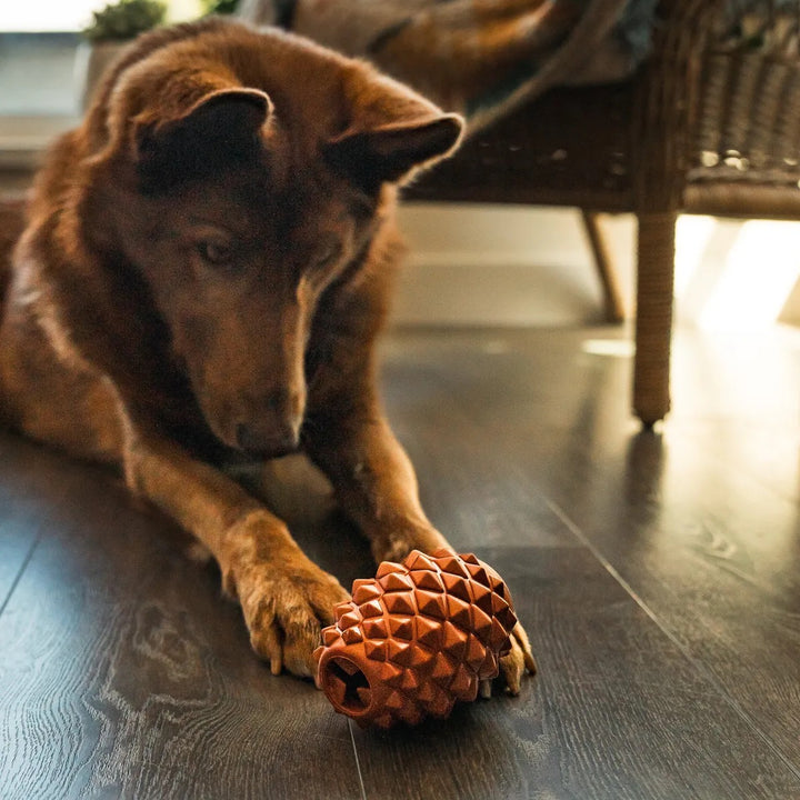 The Conifur - Interaktivt Hundeleketøy med Fryseform