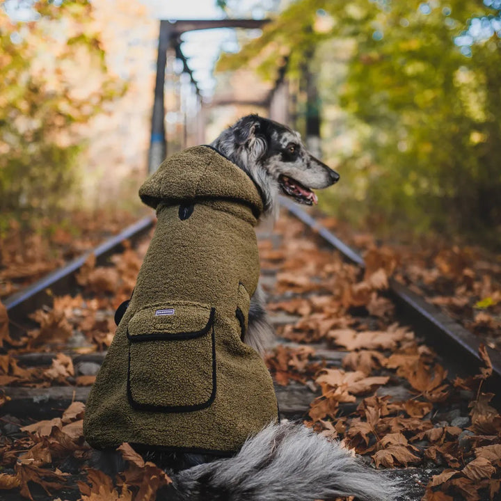 Sherpa Jacket - Green