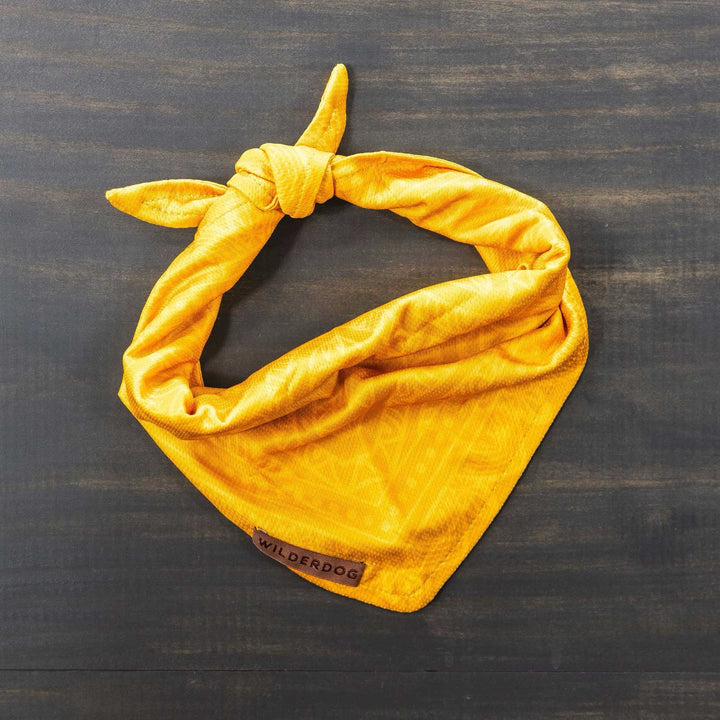 Hundebandana - Mustard