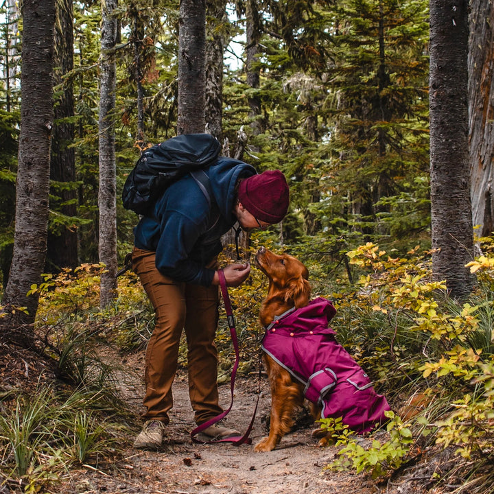 Regndekken til Hund - Huckleberry