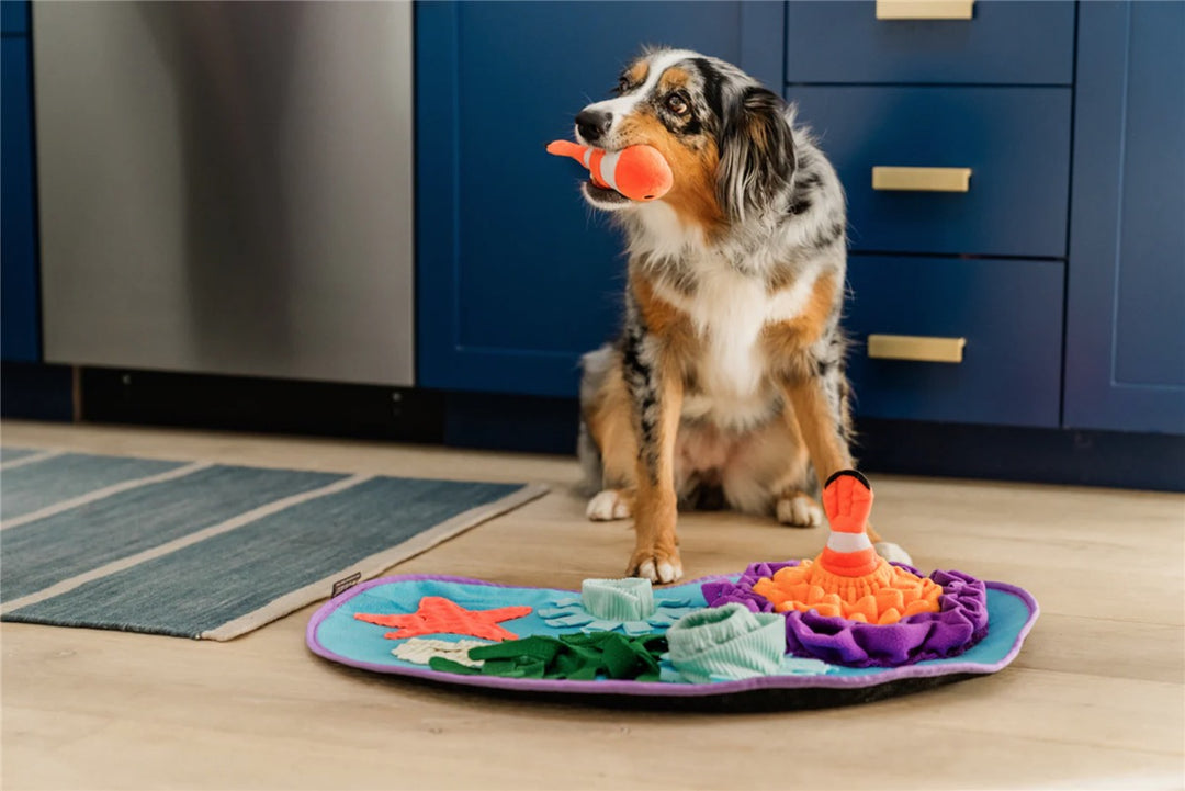 Coral Cove Snusematte