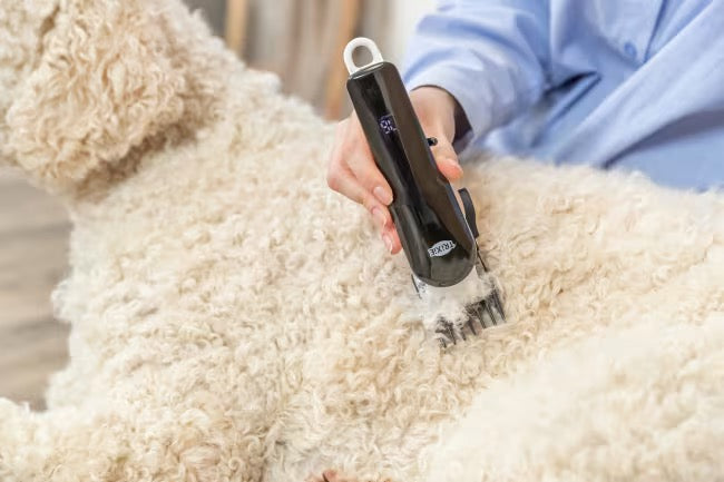 Klippemaskin TR1200 Trådløs 10W Hvit/Sort