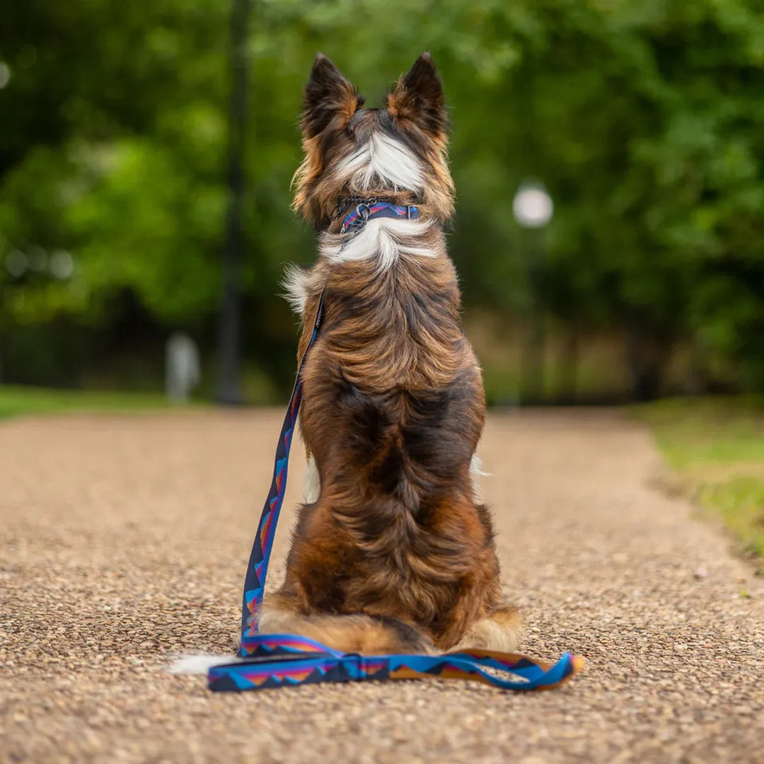 Ultralight Hundehalsbånd - Cordillera