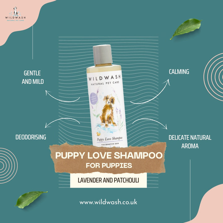 PET Puppy Love Sjampo Valp - 250ml