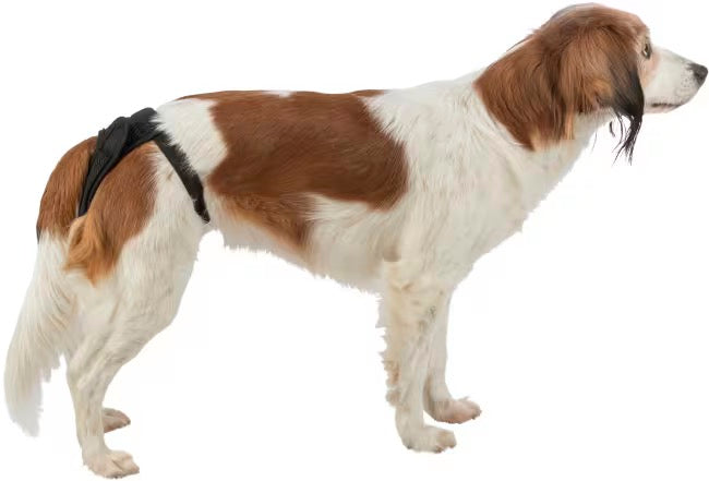 Tispetruse Trixie Comfort Svart XS-XL