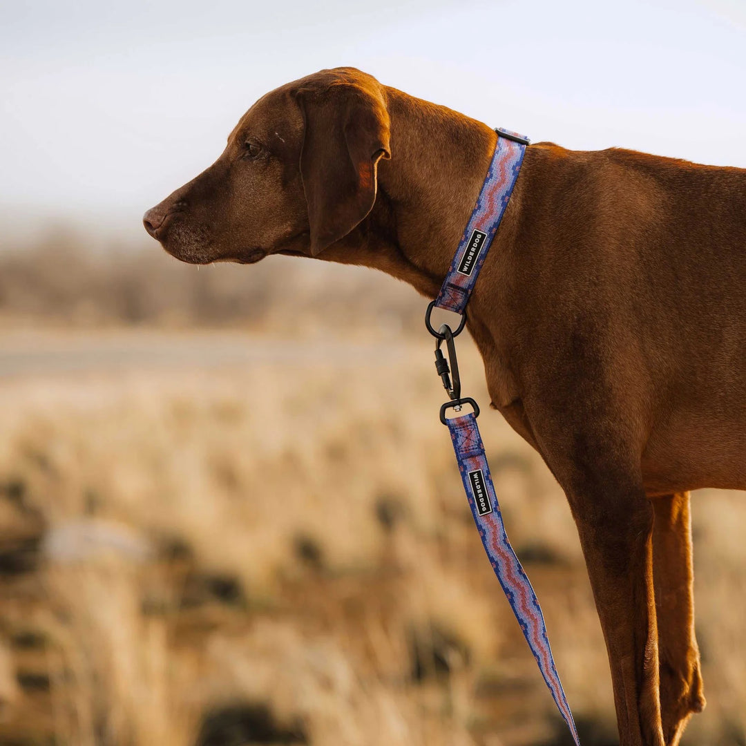 Ultralight Hundehalsbånd - Fireweed