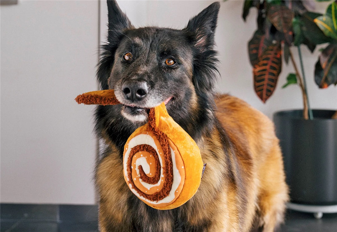 Pup Cup Café Cinna-bone Hundeleke
