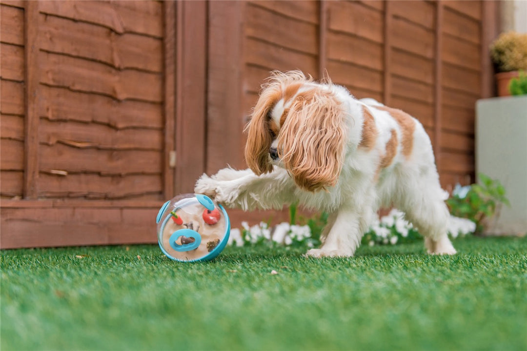 Wobble Ball 2.0 - Aktiviseringsleke Sea Foam Blue