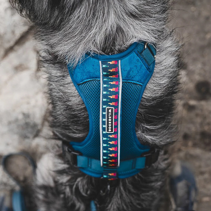 Hundesele - Pacific Blue