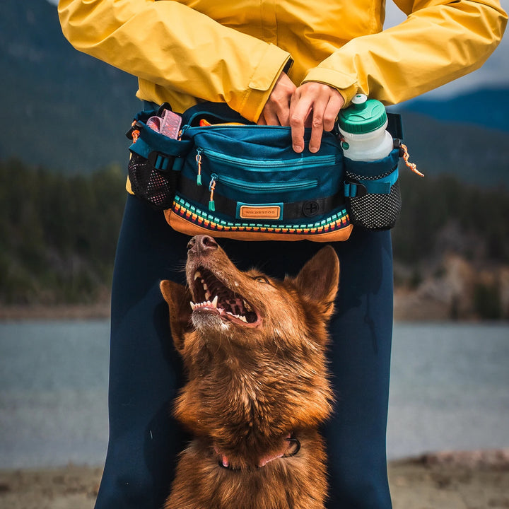 Mega Hip Pack - Rumpetaske Pacific Blue