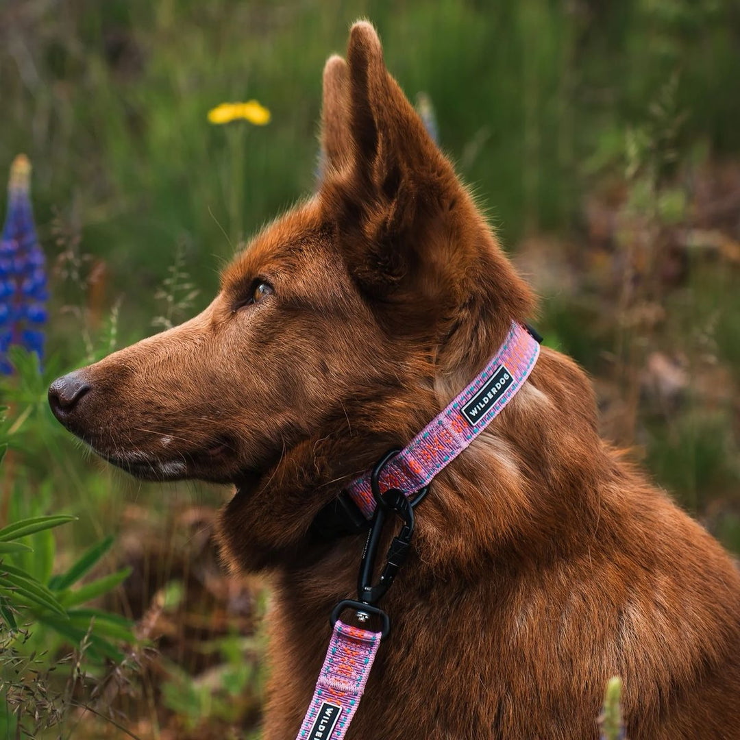 Ultralight Hundehalsbånd - Lilac