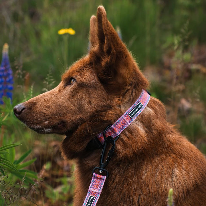 Ultralight Hundehalsbånd - Lilac