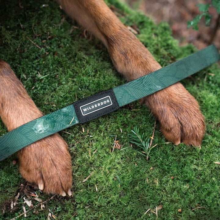 Vanntett Hundebånd - Cedar 180 cm