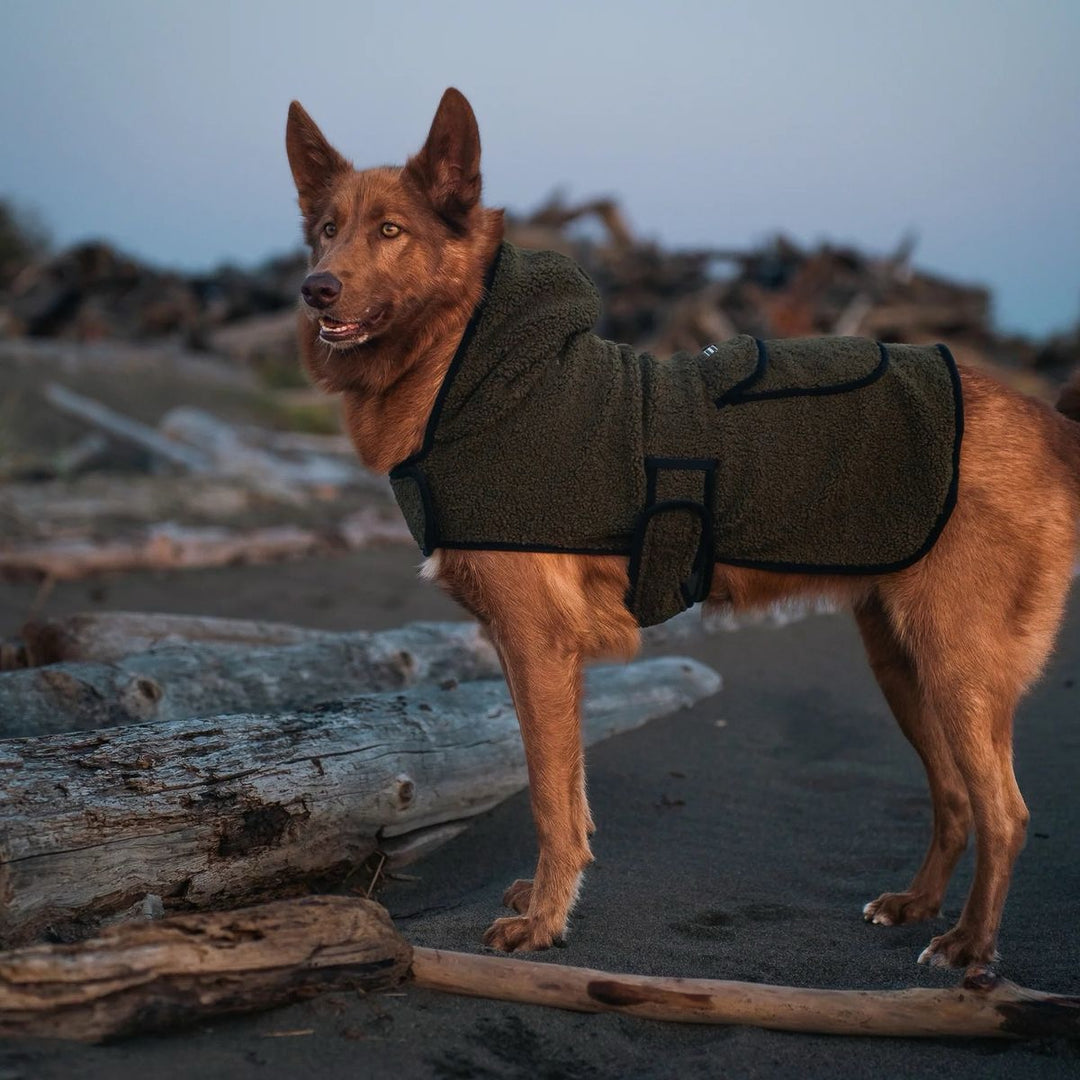 Sherpa Jacket - Green