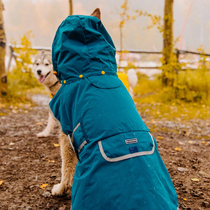 Regndekken til Hund - Wilderdog - Pacific Blue